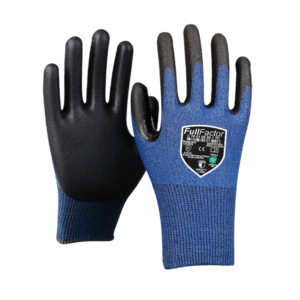 Full Factor C 10 01 06 00 1 DT